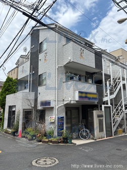 ファレノプシスビル