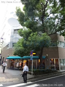KCMビル