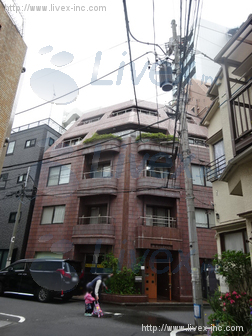 DSビル