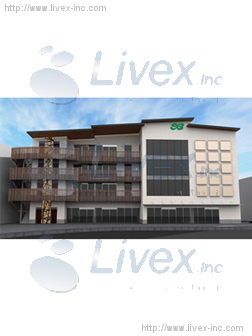 仮)本川越駅前新築工事