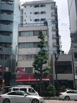 イワゲンビル