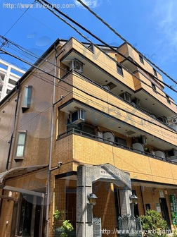 サン・フローラ・キクビル