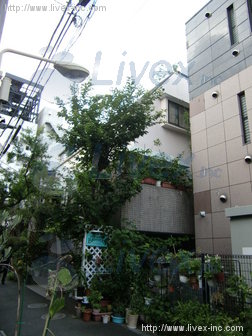 ドミール原宿ビル