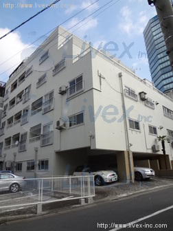 ニュー青葉台マンションビル