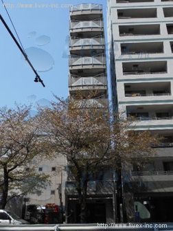 ハイシティ広尾