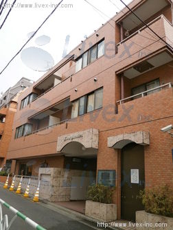 ライオンズマンション渋谷ビル
