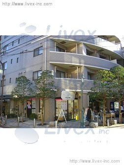 ワールドパレス武蔵小山ビル