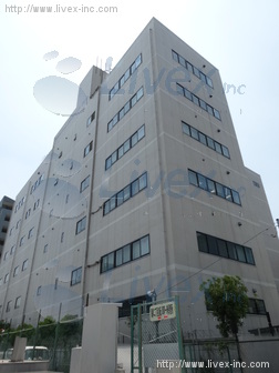 YAGURA LOGISTIC
