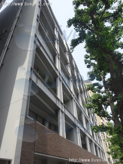 高樹町センタービル