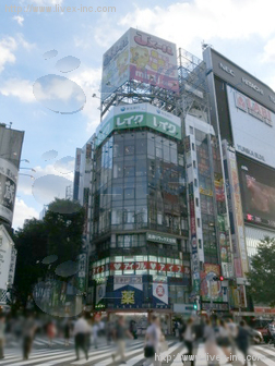 新宿パンドラビル