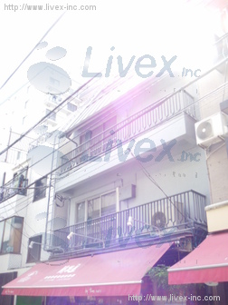 星野円山ビル