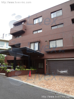RENGA代官山(代官山アイビー)ビル