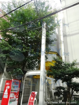 冨美ビル