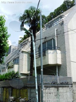 175番館別館ビル