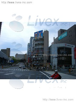 小石川ビル