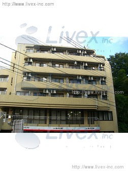 ツインリーフ国分寺ビル