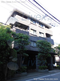 シュロス桜新町ビル