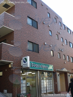 エクセルハウス