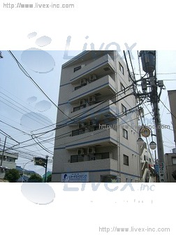 MKサリチェビル