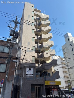 セコロTステージ