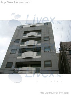 フィジカルビル