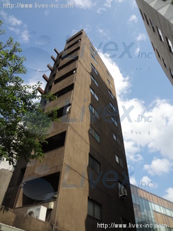 光建北の丸ビル