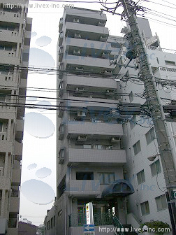 スカイノブレ川崎柳町ビル