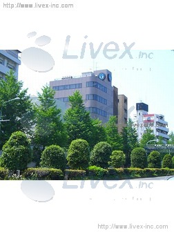白山通り東誠ビル