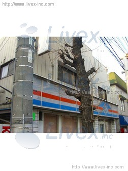 十一屋店舗