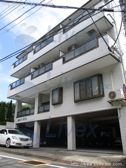 トヨダコーポラス