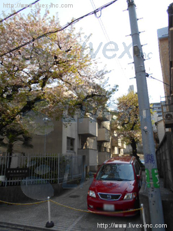 貸事務所 (恵比寿郵政宿舎)