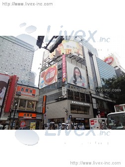 ブランメゾン南藤沢