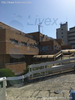 ラミアール富ヶ谷ビル
