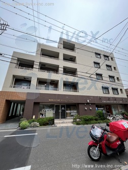 WISTERIA KOMAZAWA