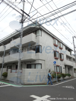 国際パレス自由が丘ビル