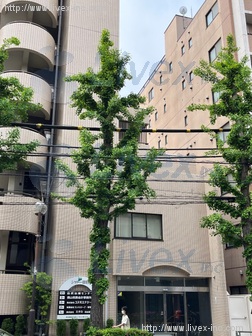 シャトー目白ビル