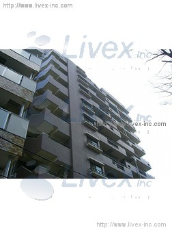 シェモア荻窪館ビル