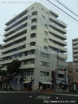 ネオキャッスル野毛ビル