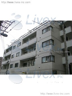 トップヒルビル