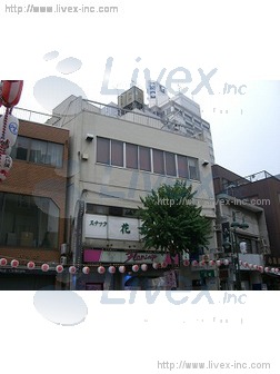 ラピス川崎ビル