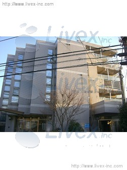 パールグレーKビル