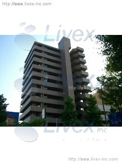 ナイスアーバン川崎駅前通りビル