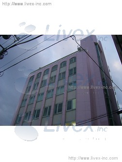 田園都市建設ビル