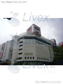 川崎三和東洋ビル