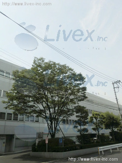 住友生命興和東陽町ビル