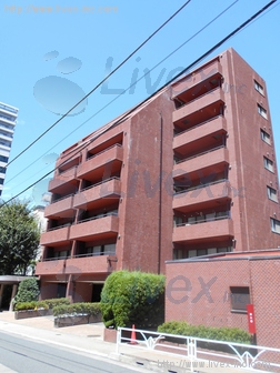 渋谷美竹ハイム
