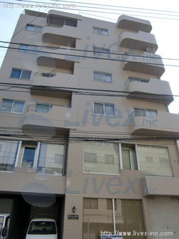 マンション松本ビル
