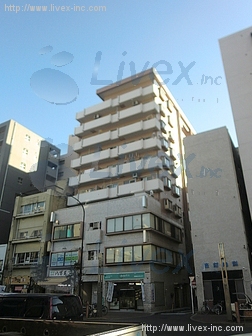 ドルミ亀戸ビル