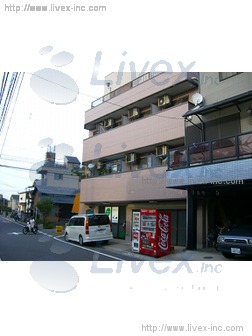 コースタルトクラビル