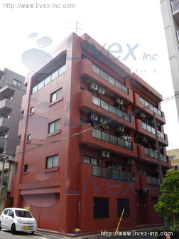 ルネ・タマキビル